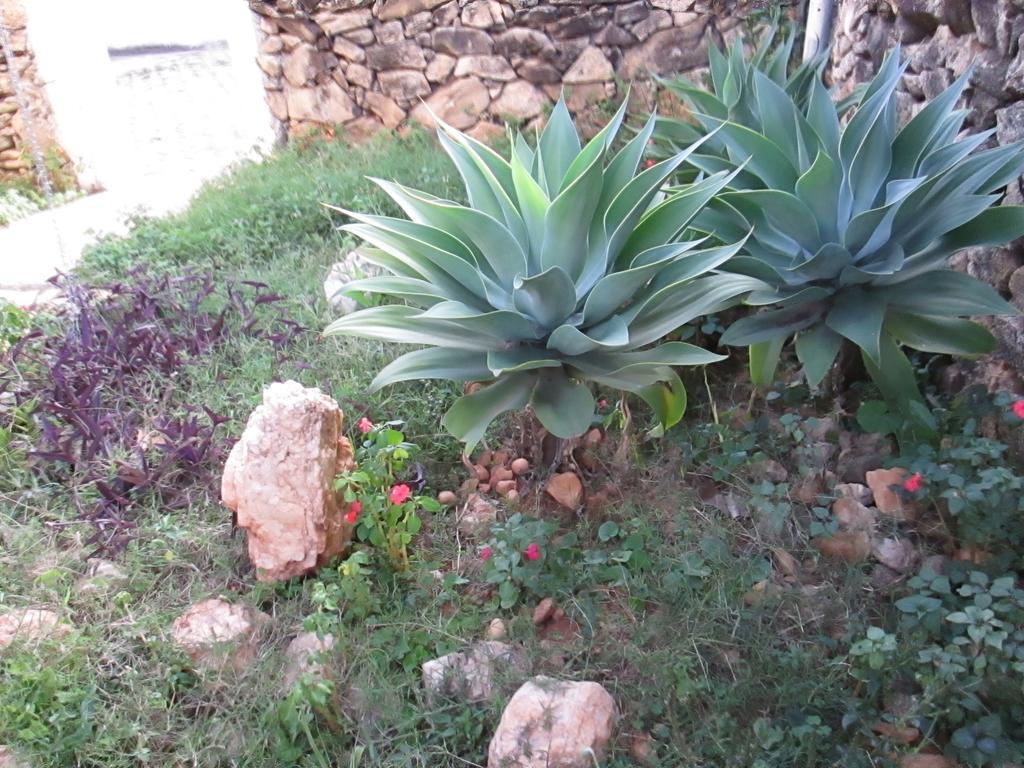 Pousada As Reliquias De Minas Tiradentes Exterior photo
