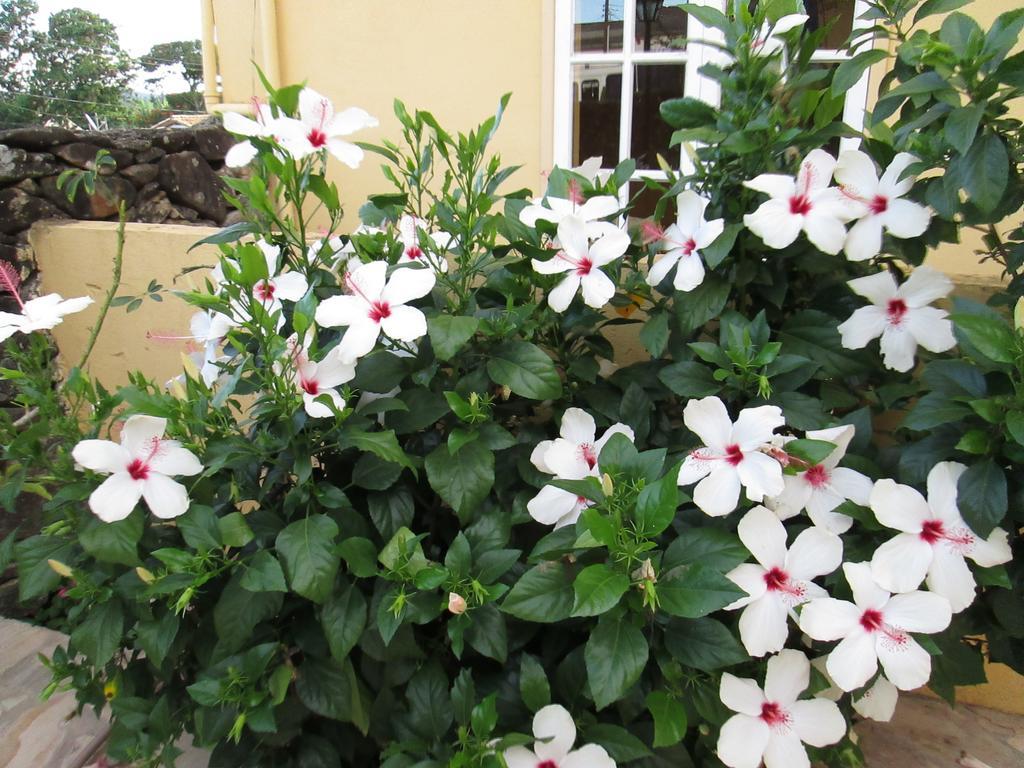 Pousada As Reliquias De Minas Tiradentes Exterior photo
